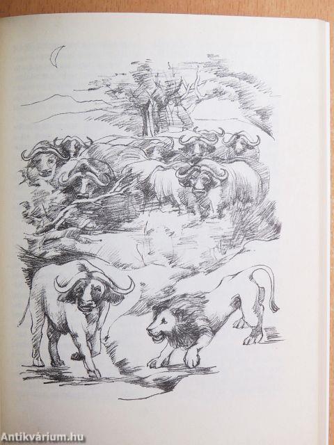 Fantasztikus állattörténetek