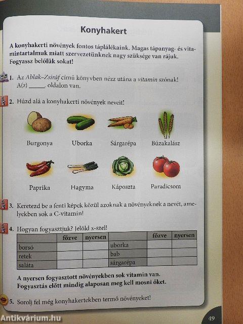 Környezetismeret munkafüzet az 1. évfolyam számára