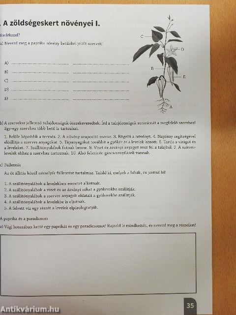 Természetismeret munkafüzet 5.