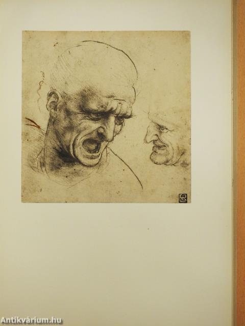 A rajzművészet mesterei