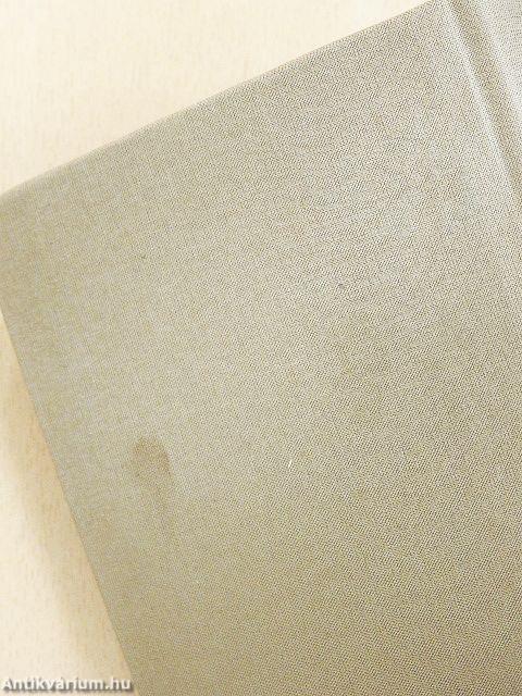 Irás és mindennapi társalkodásban előforduló idegen szavakat magyarázó kézi-könyv