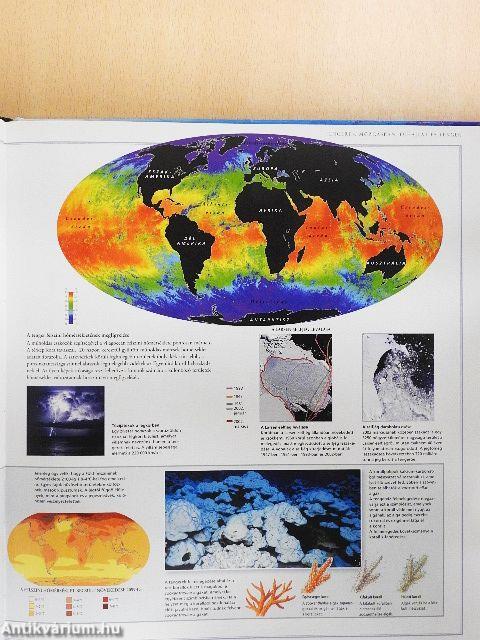 Óceánok - A tengeri környezet