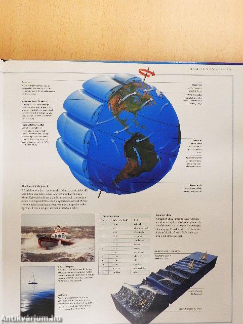 Óceánok - A tengeri környezet