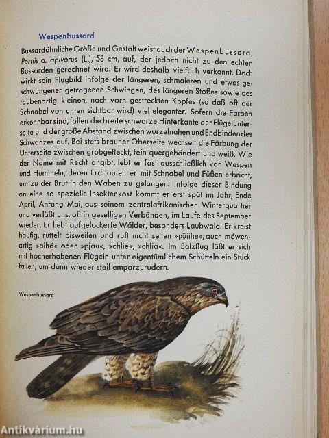 Die Vögel unserer Wälder