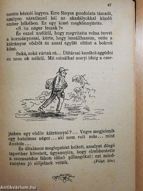 A négergyermek 1922-1928. (vegyes számok) (30 db)