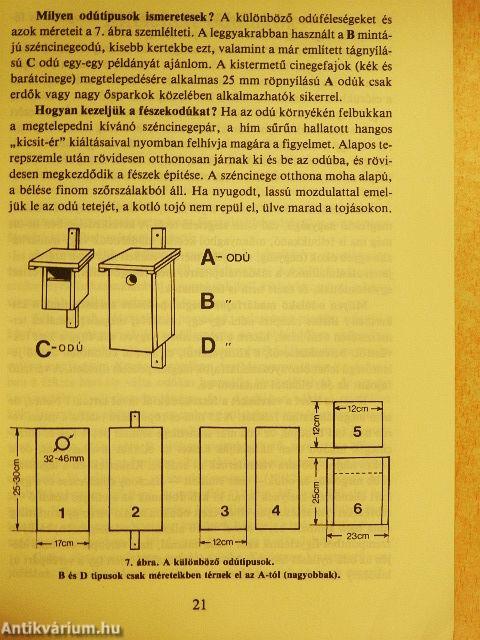 Gyakorlati madárvédelem