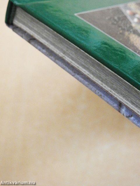 Fűszerek és gyógyfüvek