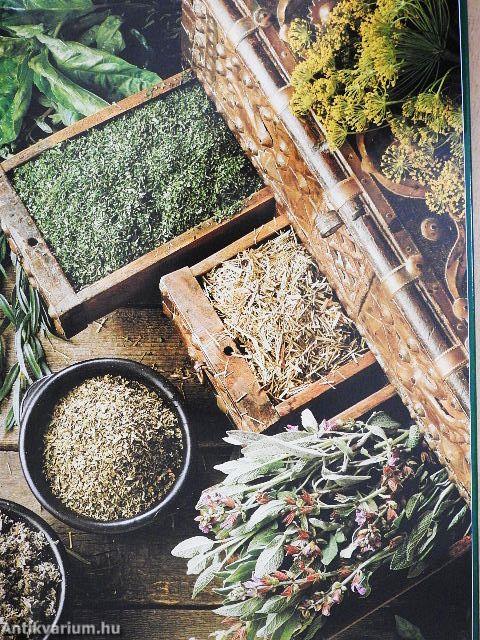 Fűszerek és gyógyfüvek