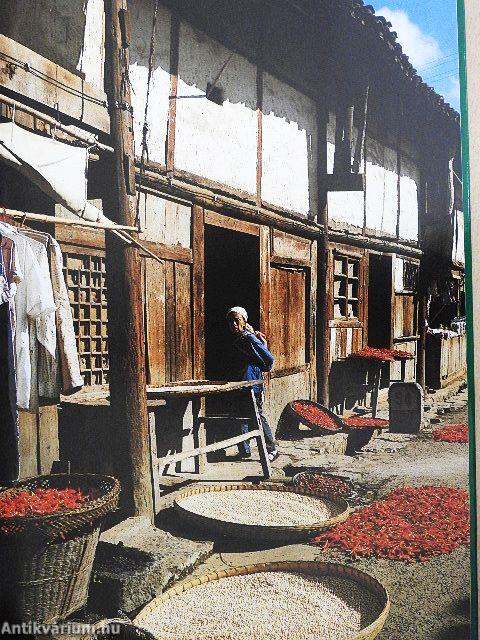 Fűszerek és gyógyfüvek