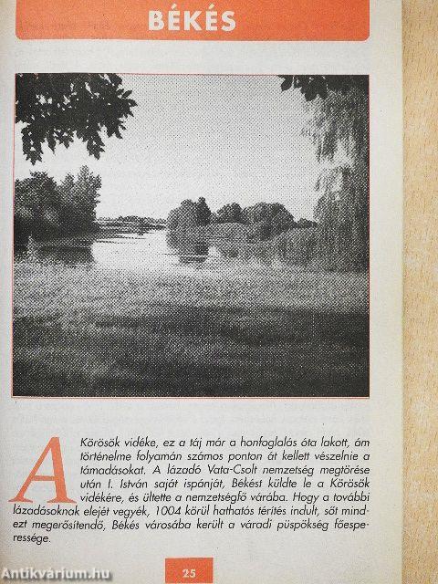 Fakanál Recepttár 2000/1