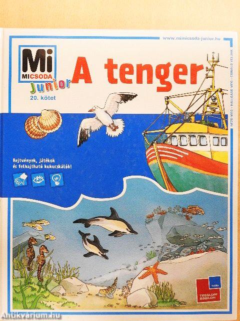 A tenger