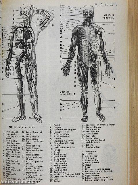 Petit Larousse