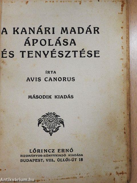 A kanári madár ápolása és tenyésztése