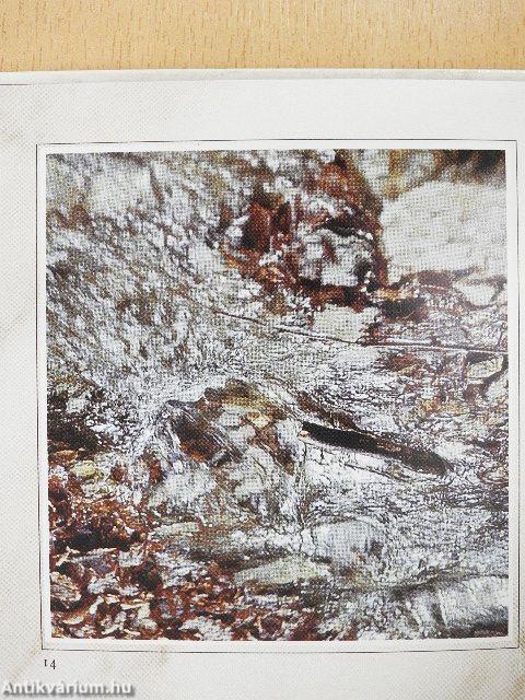 Ó áldd az Urat, lelkem!