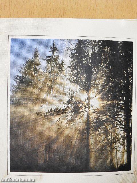 Ó áldd az Urat, lelkem!