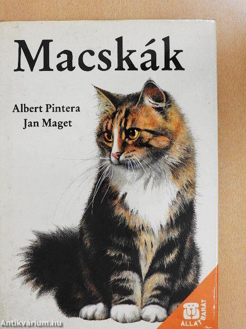 Macskák