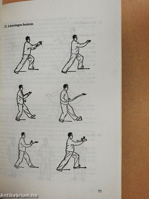 Gyakorlati Tai Chi Chuan és Chi Kung