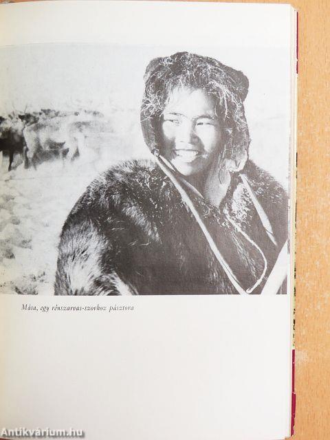 Északra szállnak a hattyúk