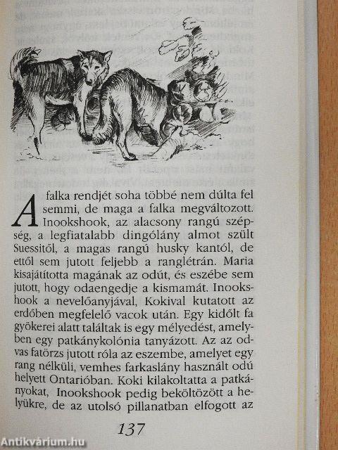 A kutya lelki élete