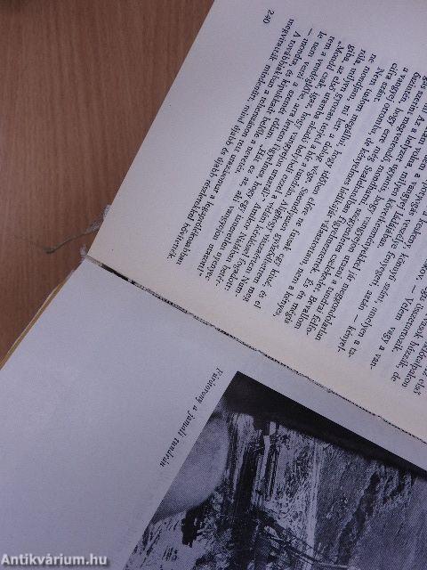 Északra szállnak a hattyúk