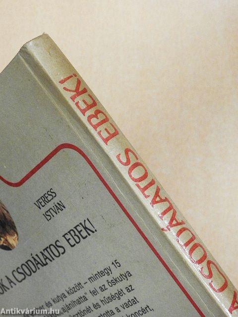 Ó, azok a csodálatos ebek!