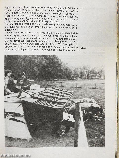 Ó, azok a csodálatos ebek!