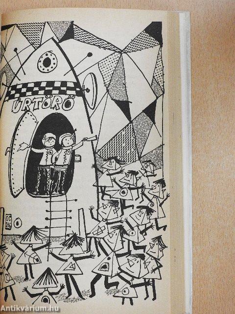 Hajszesz és bolondgomba