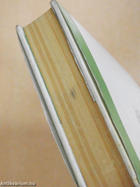 A portobellói boszorkány