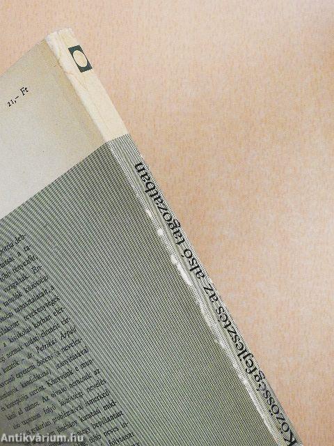 Közösségfejlesztés az alsó tagozatban