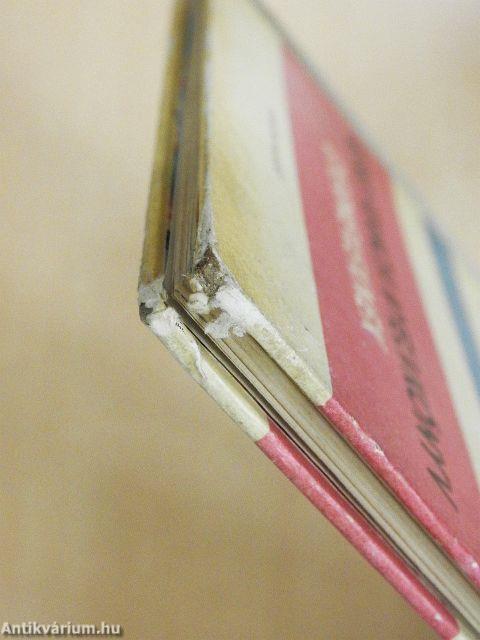 Képes francia nyelvkönyv gyermekeknek