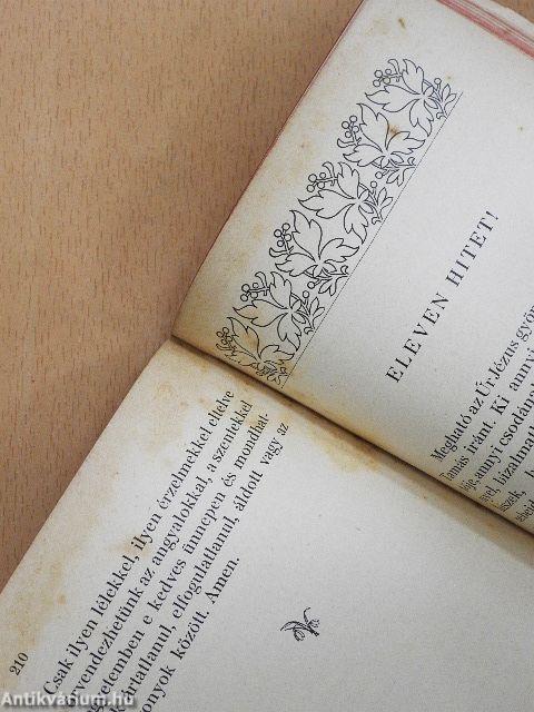 Légy gyengéd lélek!