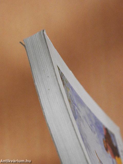 "Aki hisz, üdvözül!"