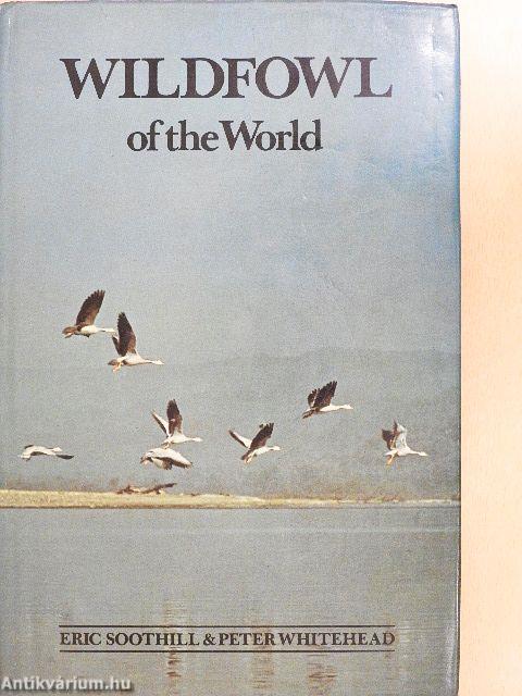 Wildfowl of the World