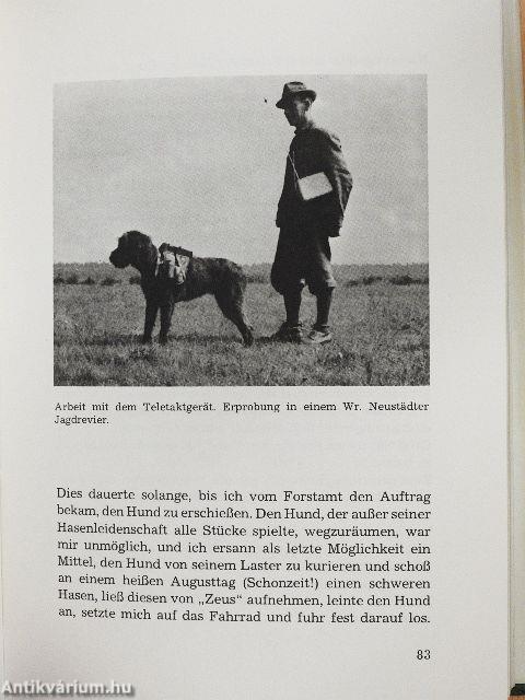 Der ferme Jäger als Jagdhundeführer