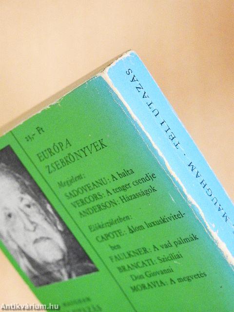 Téli utazás