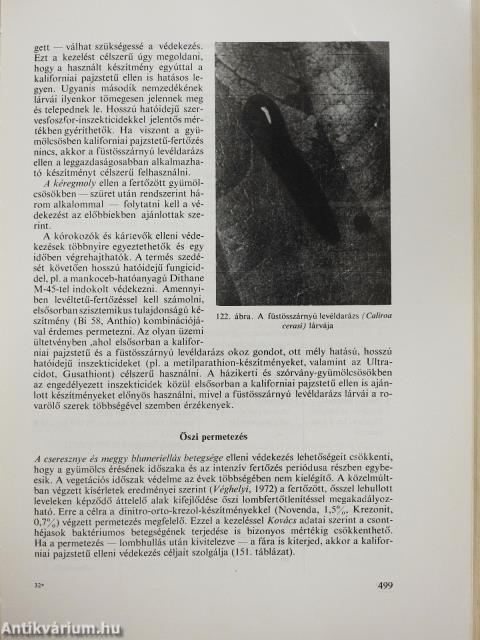 A gyümölcstermesztés technológiája (dedikált példány)