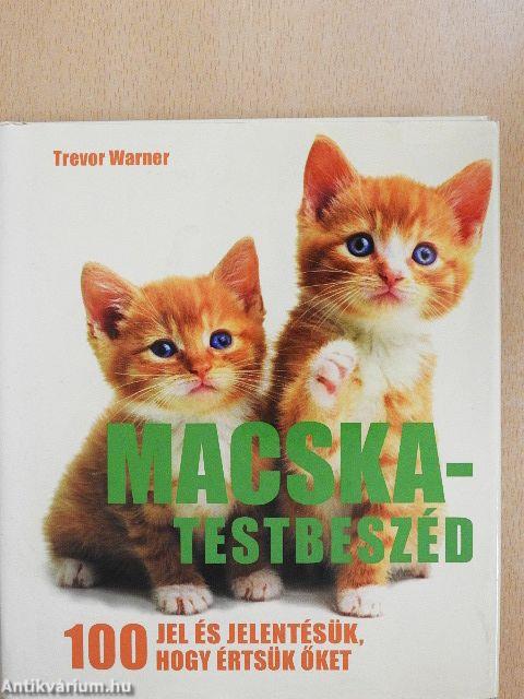 Macska-testbeszéd