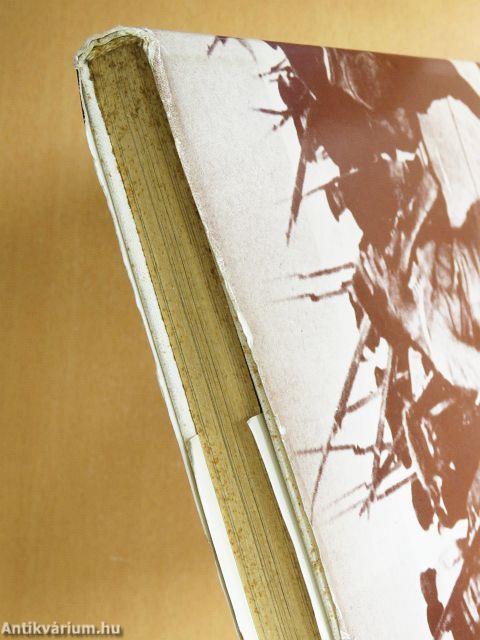 Tíz nap, amely megrengette a világot