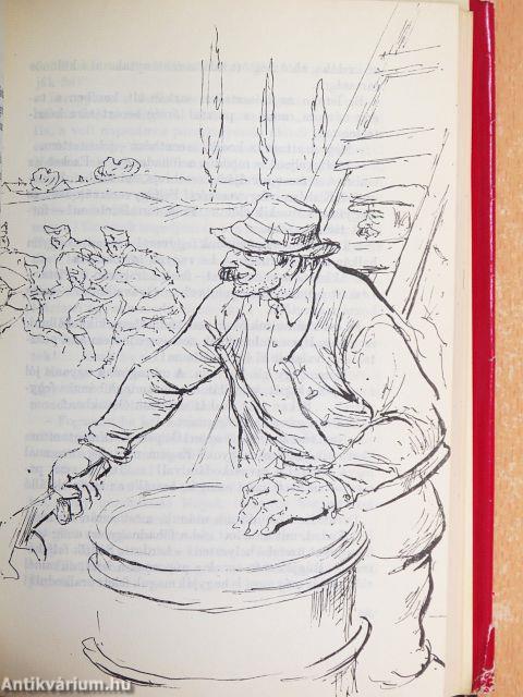 Vihar és szivárvány