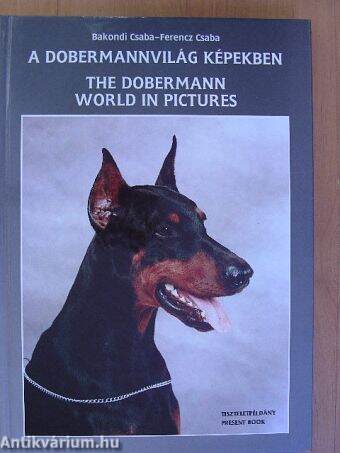 A dobermannvilág képekben