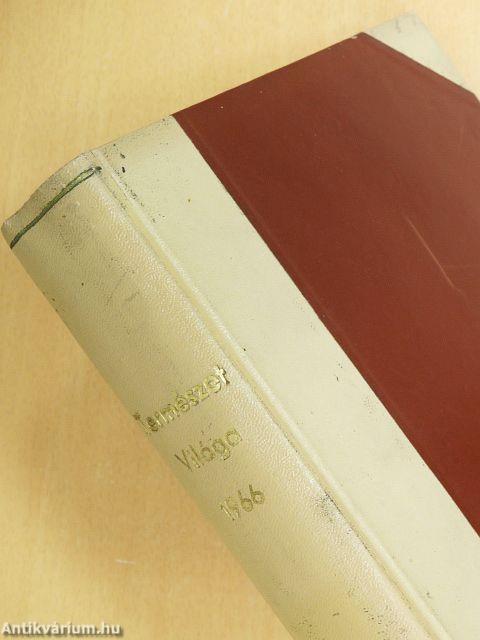 Természettudományi Közlöny 1966. (nem teljes évfolyam)