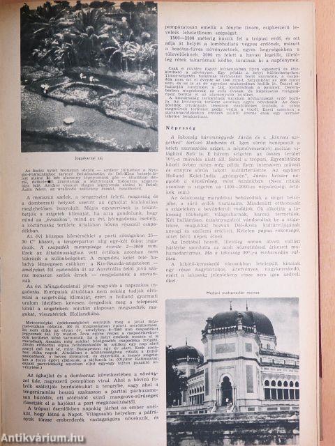 Természettudományi Közlöny 1966. (nem teljes évfolyam)