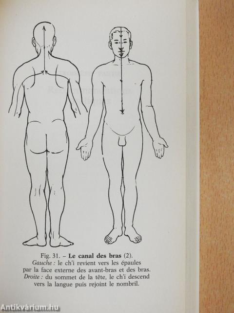 Énergie vitale et autoguérison