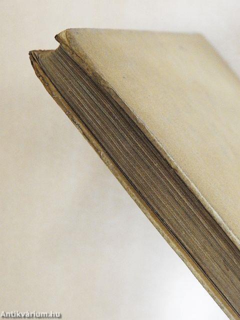 Az őserdő cserkésze