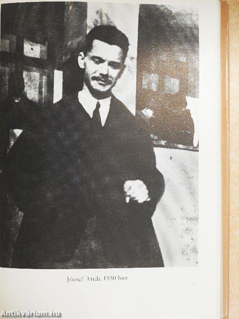 Egy könyvkiadó feljegyzései