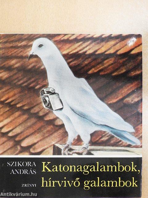 Katonagalambok, hírvivő galambok