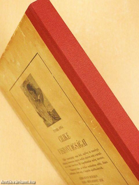 Cilike rövid ruhában