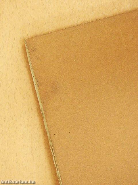 Tanulmányok Budapest multjából IV.