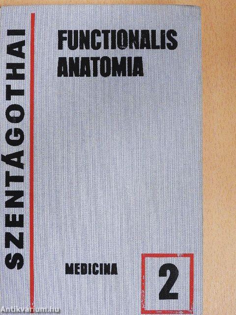 Functionalis anatomia 2.