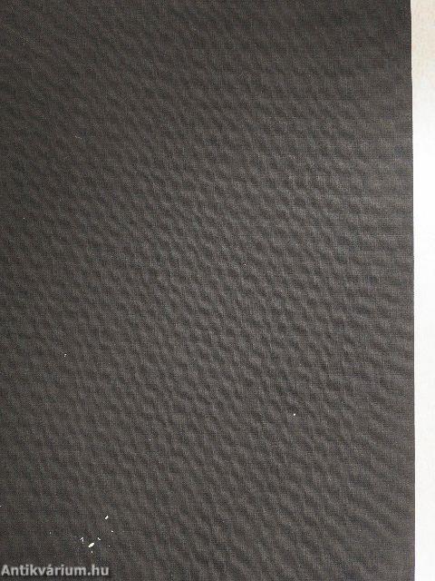 Abbé Rohrbacher's Universalgeschichte der katholischen Kirche 13. (gótbetűs)